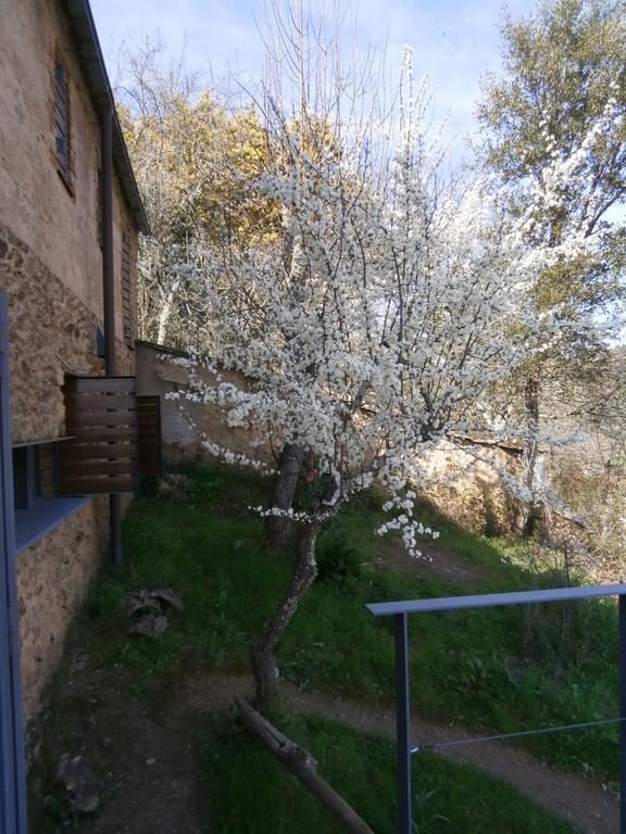 El Risco Del Lomero, Alberca 4 Huesp Max Valdelarco Bagian luar foto